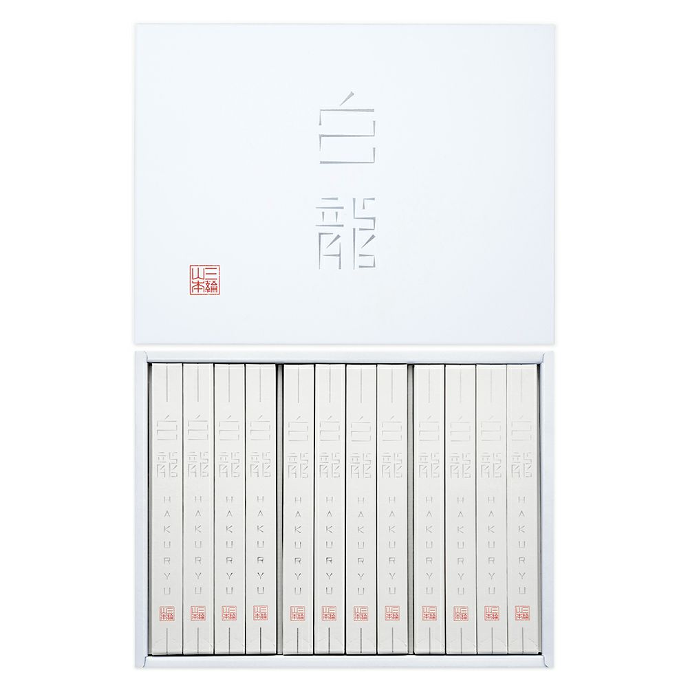 白龍 (H-CA)